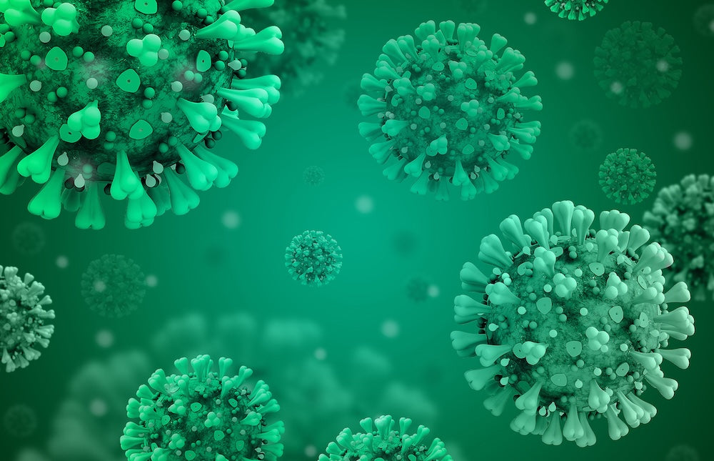 Microbiology and bacteria in water are removed using sterile filters from Filtra International