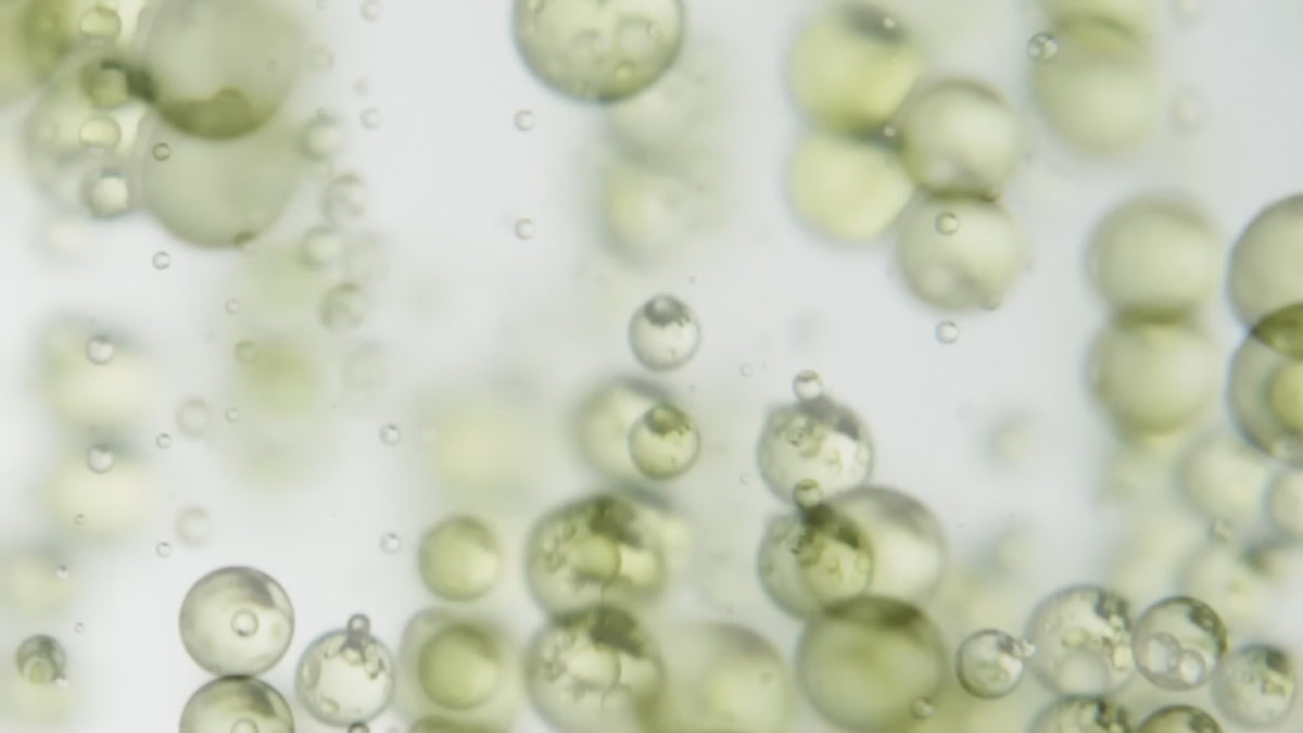 Industrial Oil-Water Separator with Active Oil Removal - SAS®