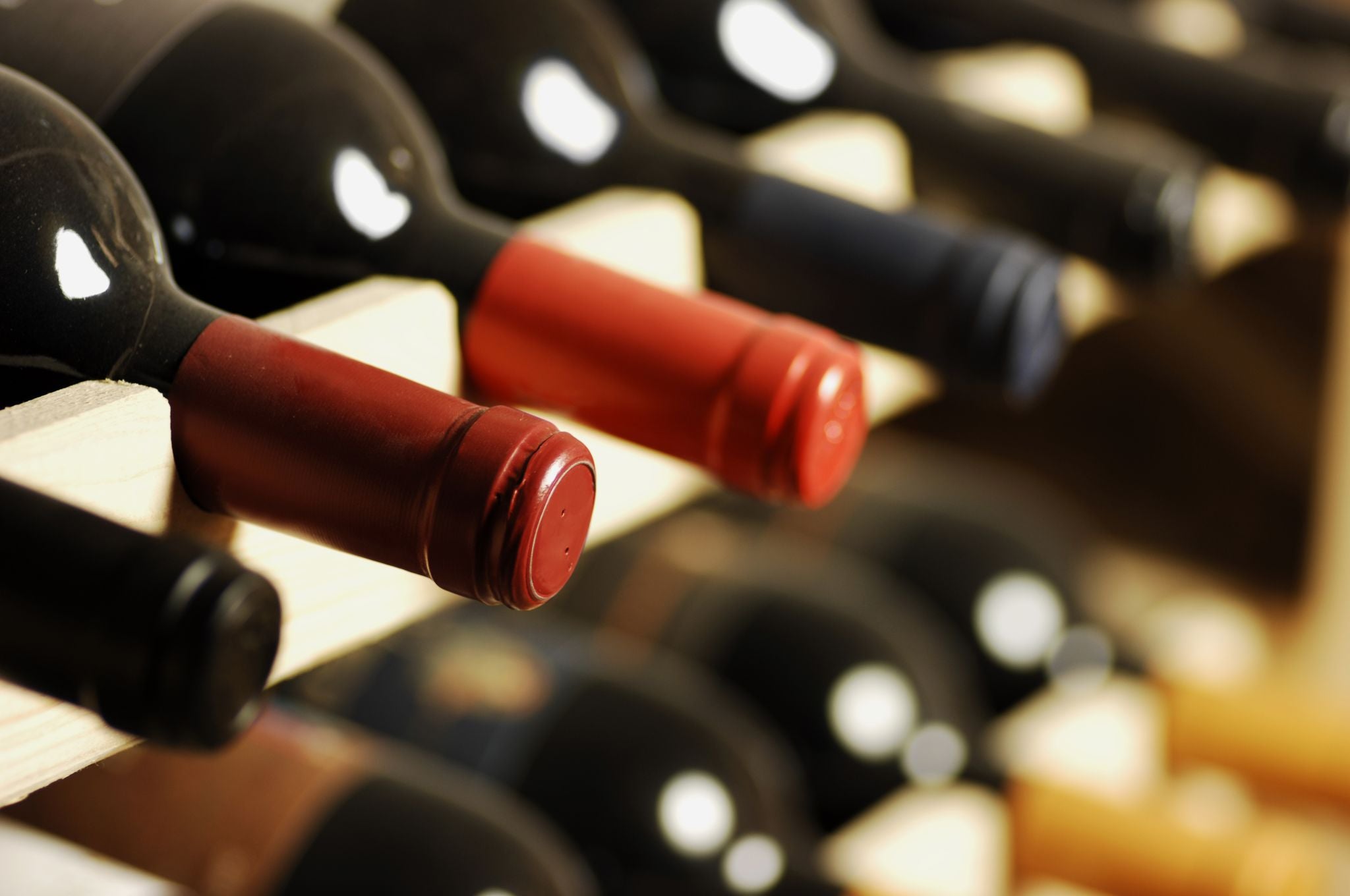 Wine filtration explained for large and small wineries